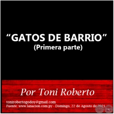 GATOS DE BARRIO (Primera parte) - Por Toni Roberto - Domingo, 22 de Agosto de 2021